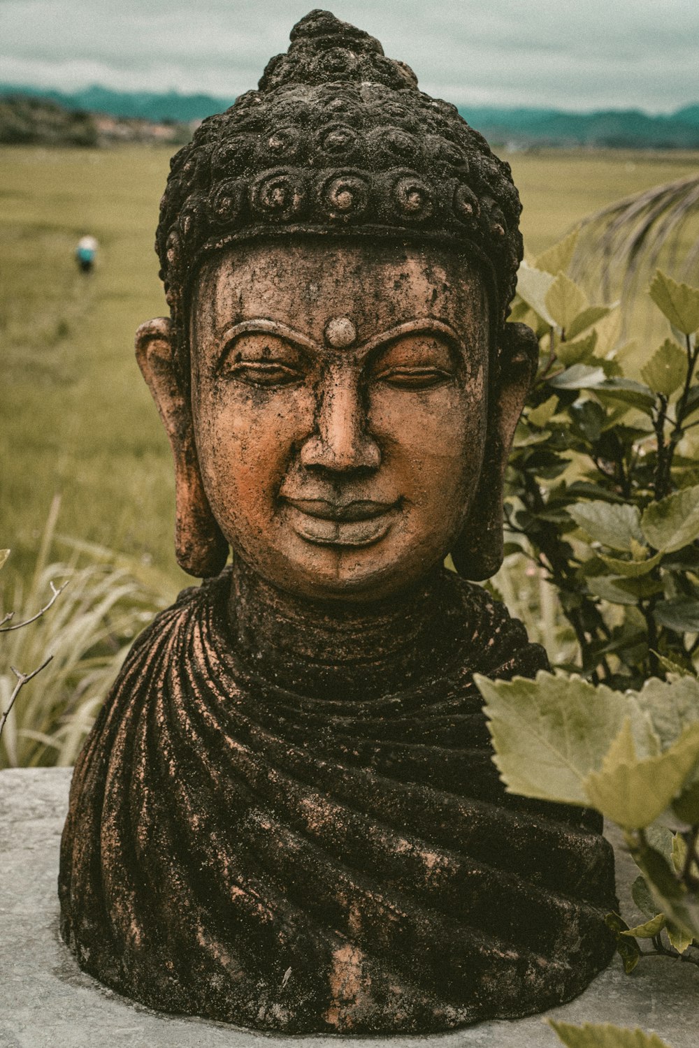 uma estátua de um buda em um campo