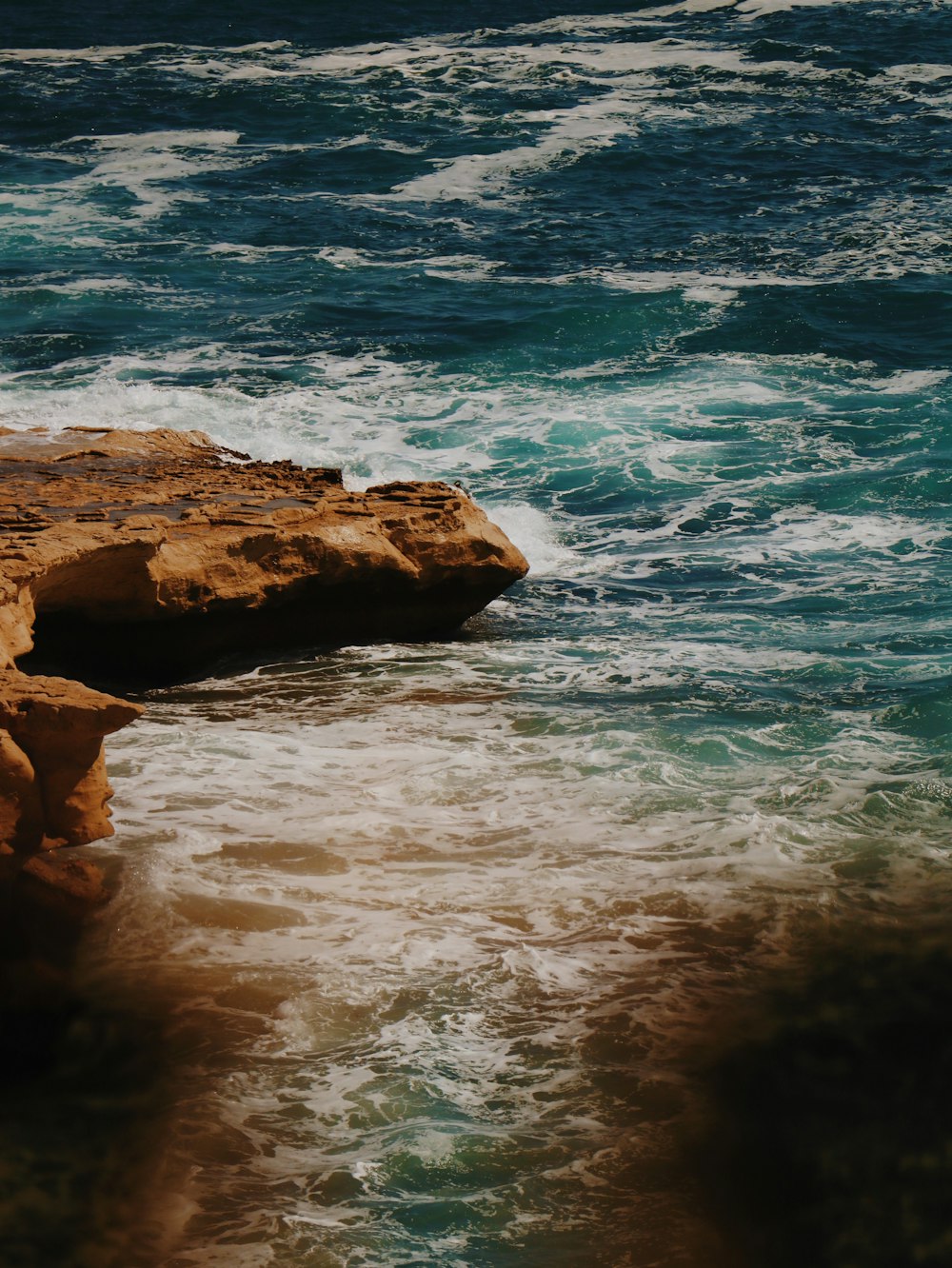 a bird sitting on a rock near the ocean