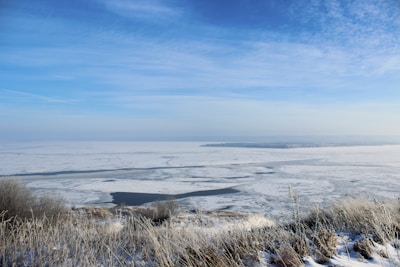 Thermal image captured by a long-wave infrared camera in snowy terrain.