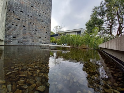 A serene outdoor scene with a reflective pond filled with smooth stones in the foreground. A brick wall with scattered rectangular openings stands on the left, and a concrete wall with a railing is on the right. In the background, dense greenery and bamboo plants are visible, along with a modern building partially obscured by trees. The sky is overcast, casting a calm and muted light over the area.