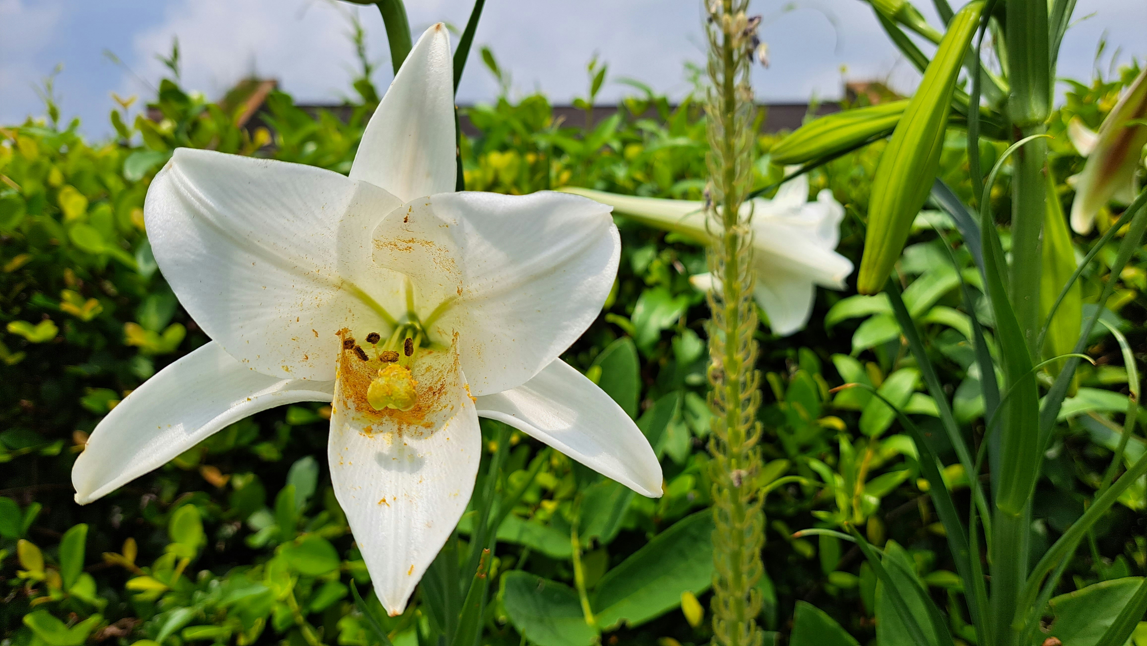 Taichung Park photo 2