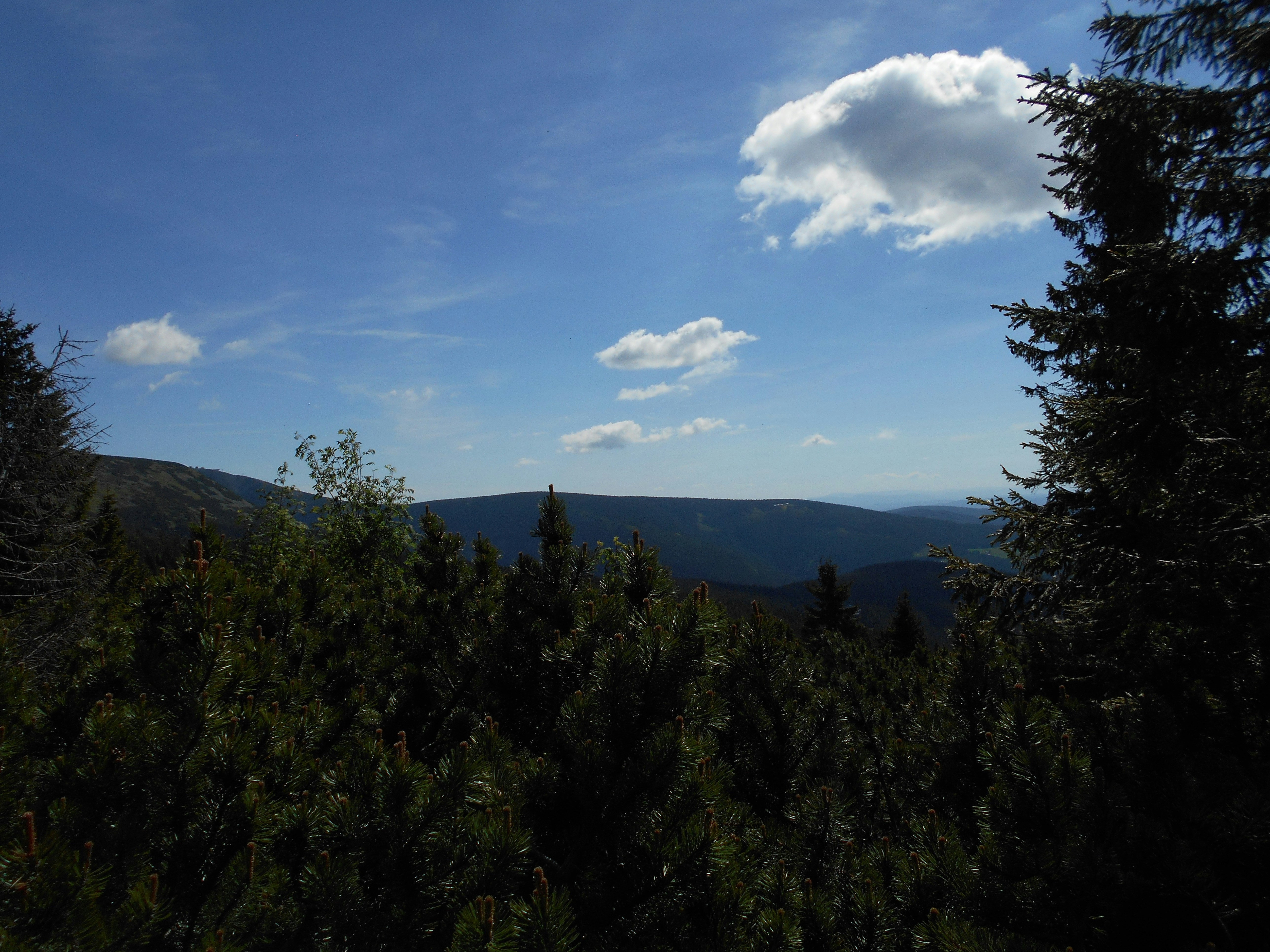 Photo by just_charlie321