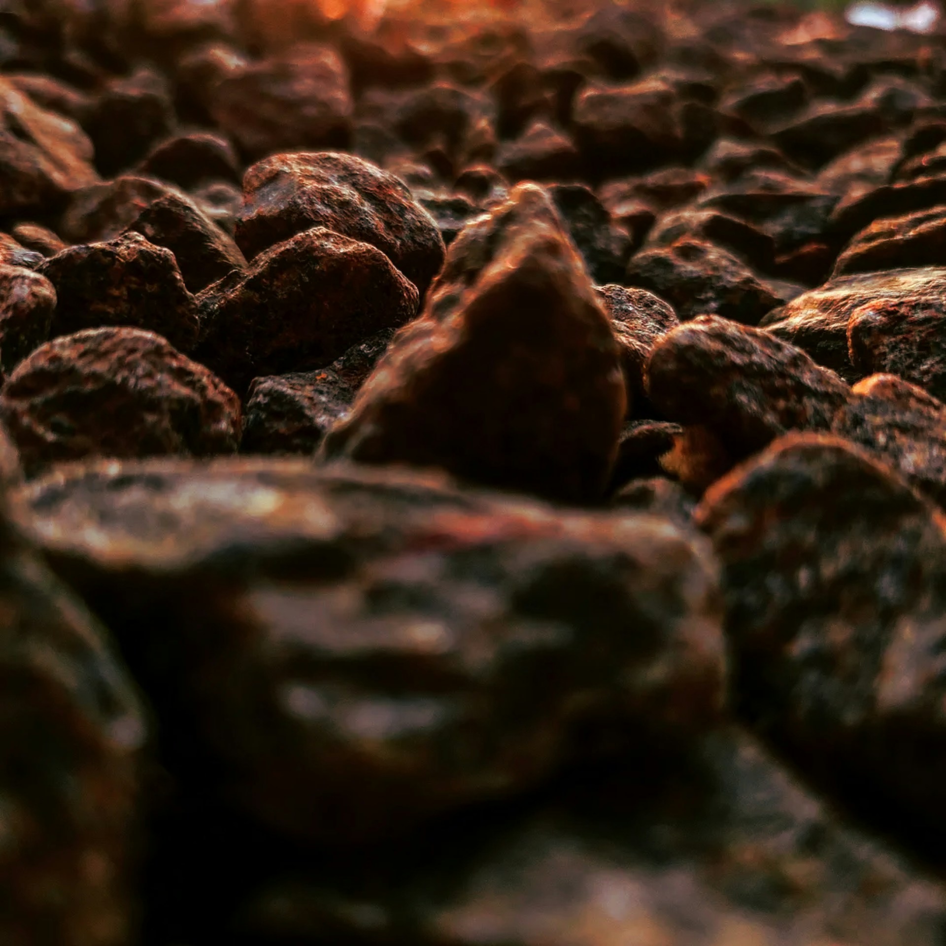 a close up of rocks with the sun in the background