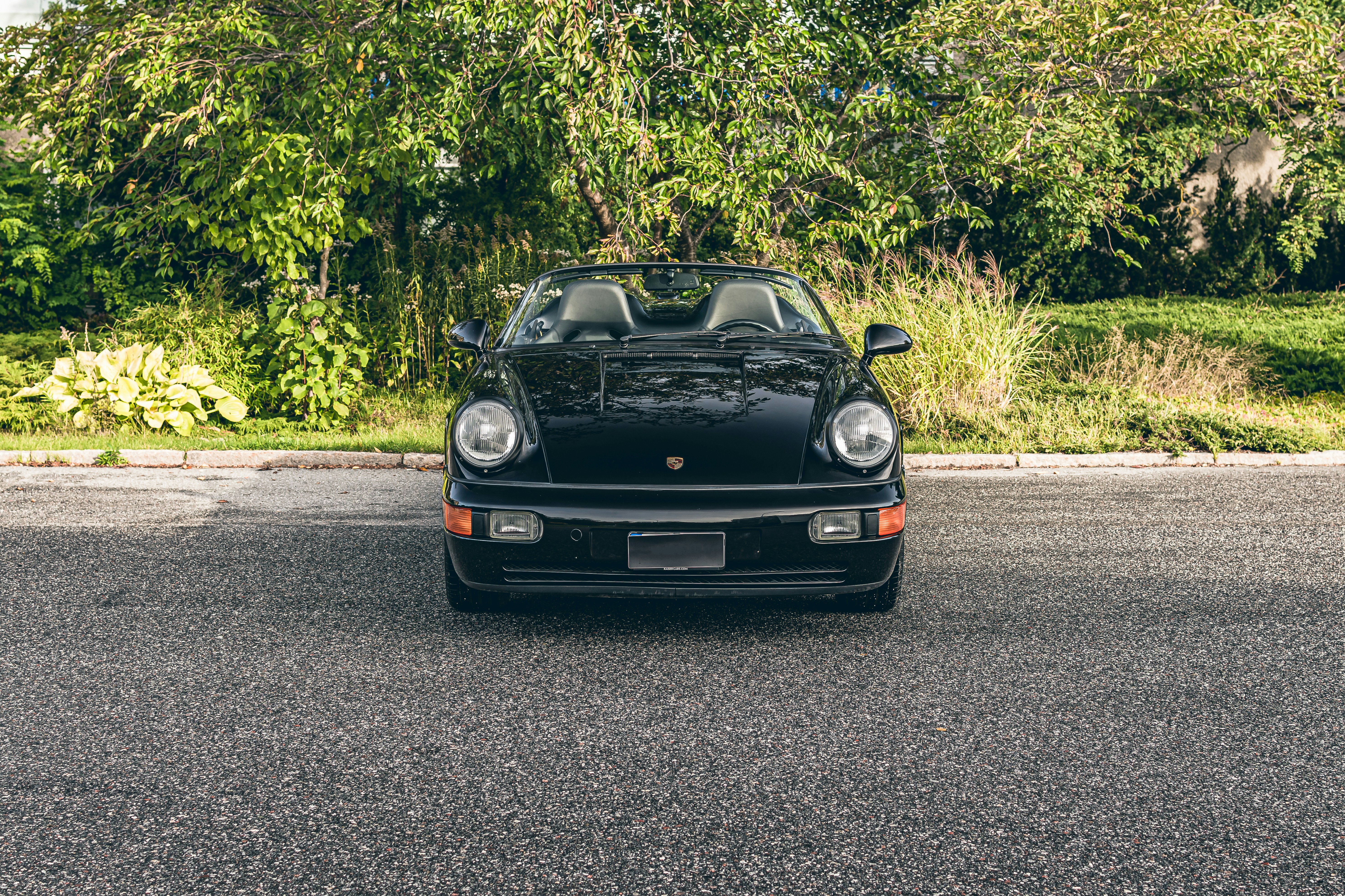 Photo by skold_anton