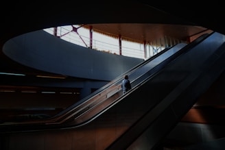 A solitary figure ascends an escalator in a spacious indoor setting, illuminated by natural light streaming through large windows above. The architecture features clean lines and a modern design, with a muted color palette creating a serene atmosphere.