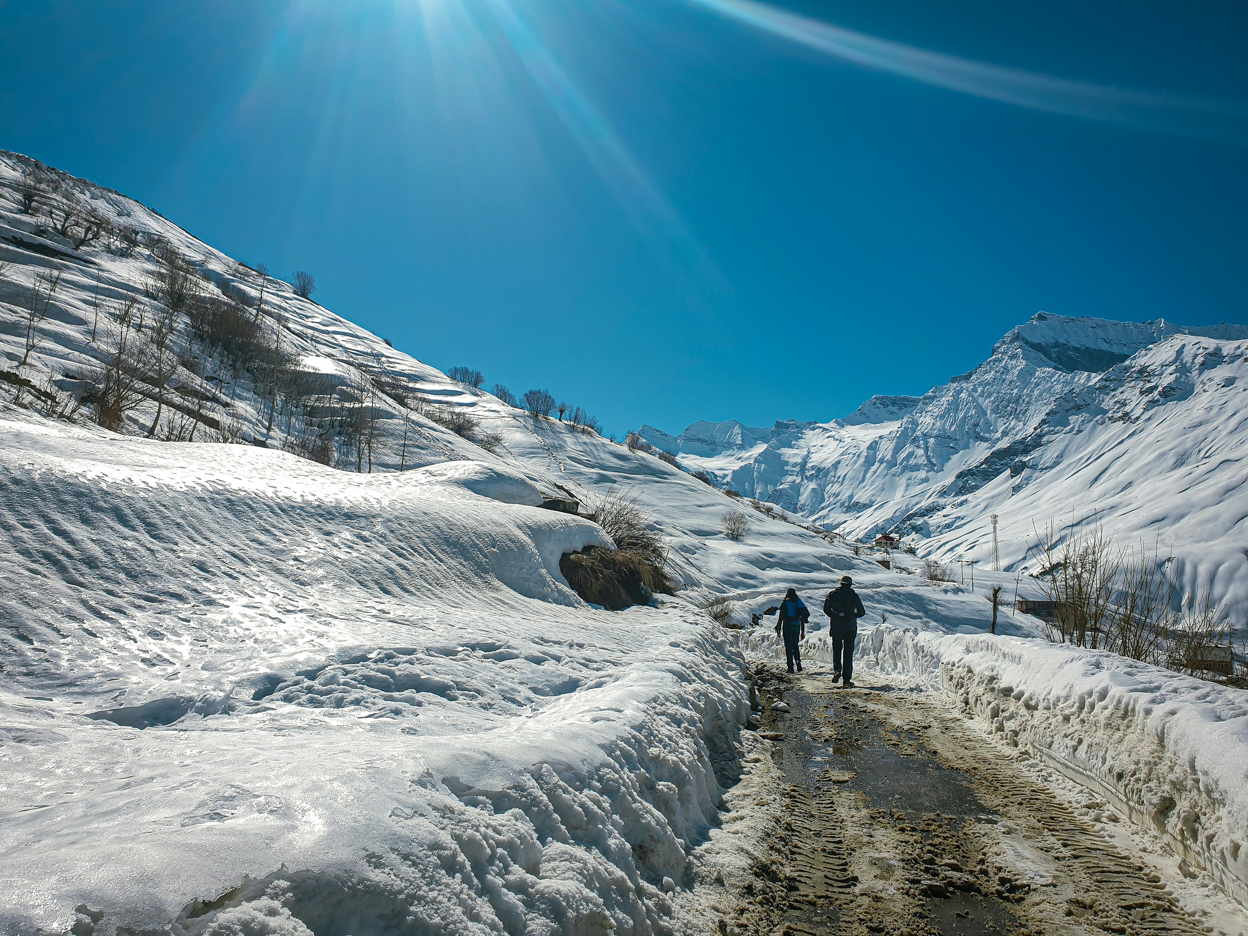 India's Winter Gems: Best Travel Destinations for Your Next Escape