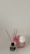 Elegant diffuser placed on a minimalist wooden table with pastel pink accents.