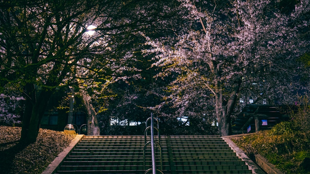 a set of stairs leading up to the top of a hill