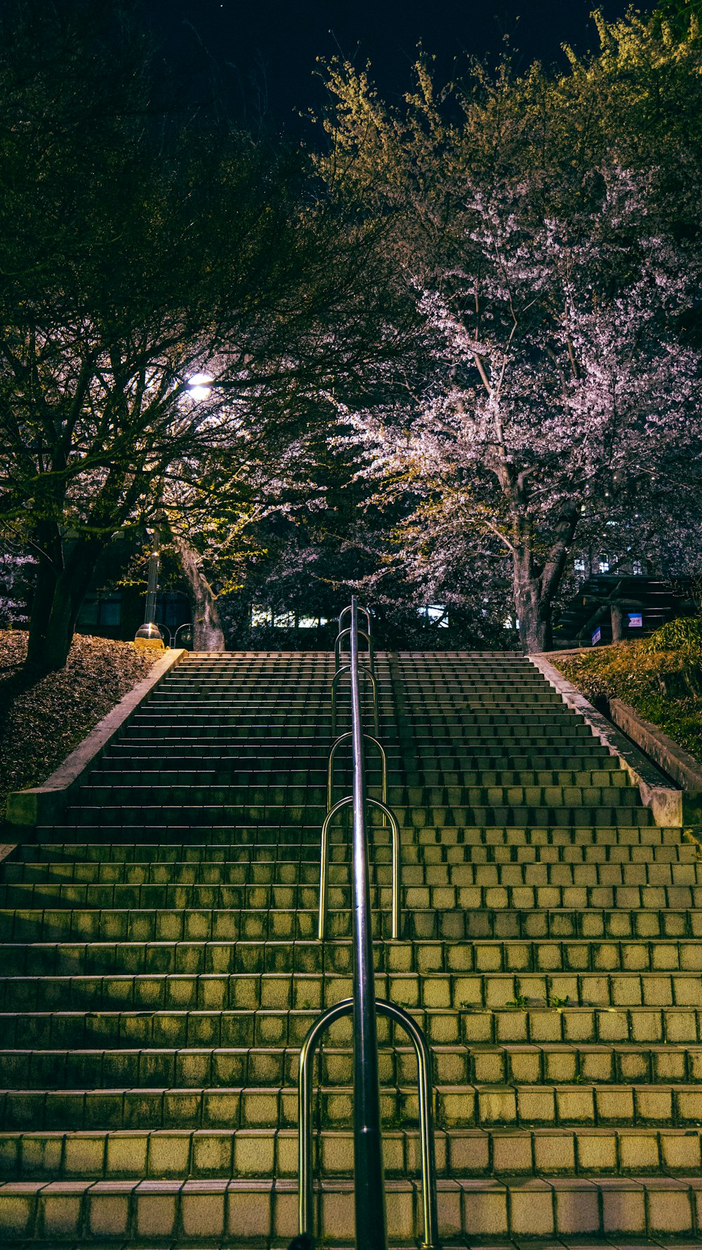 a set of stairs leading up to a park