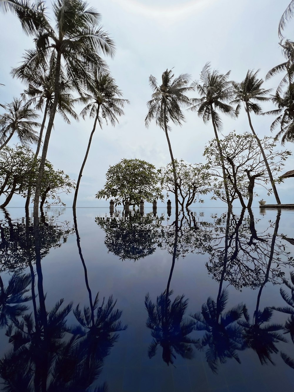 a pool surrounded by palm trees and water