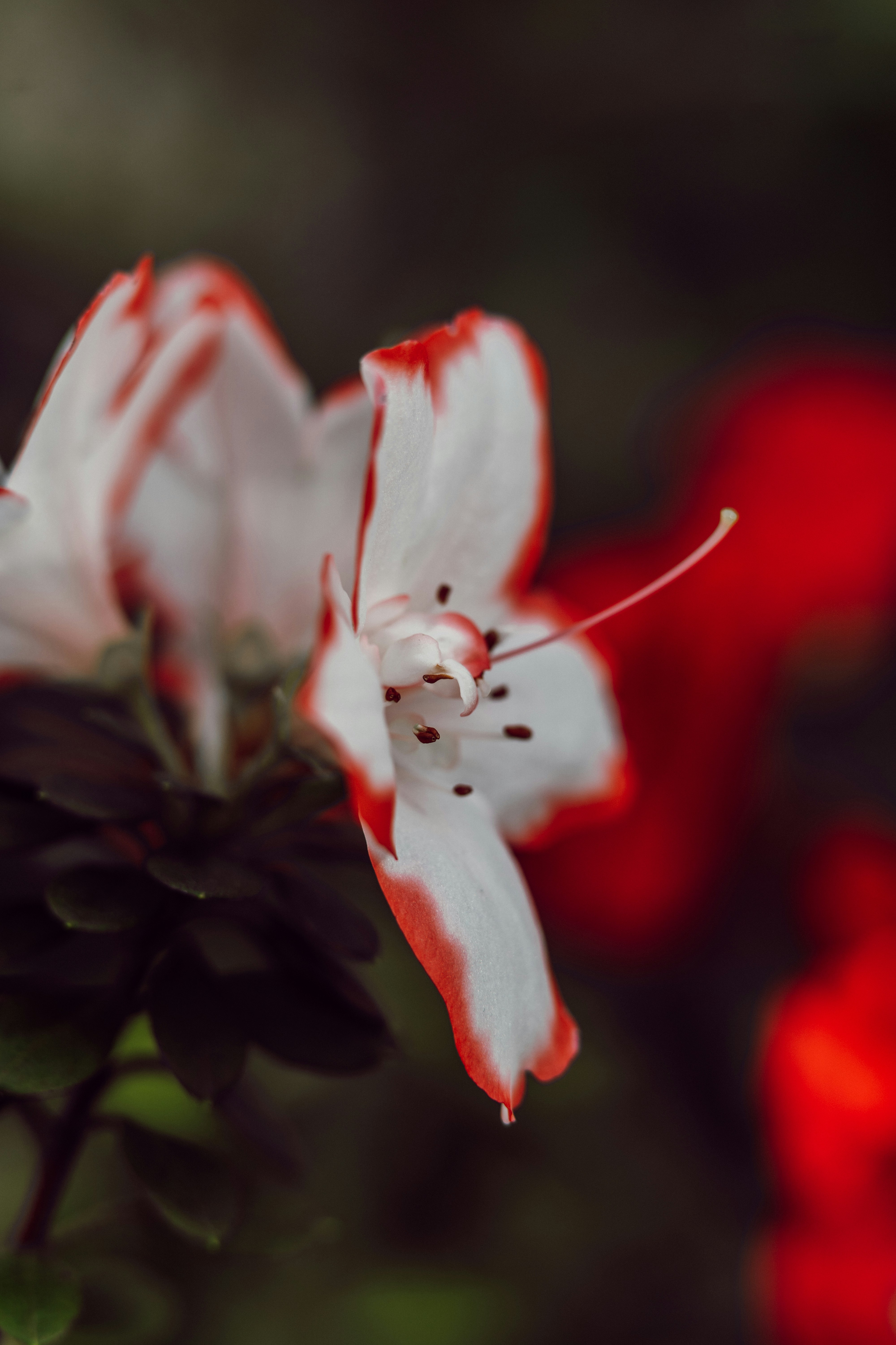 Photo by anamnesis33