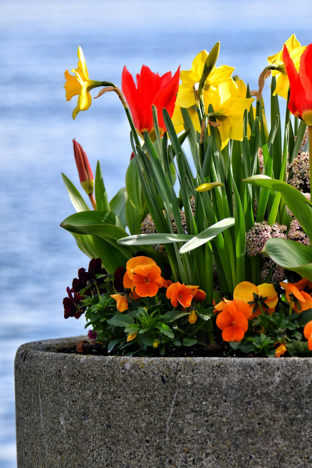 a planter filled with lots of flowers next to a body of water