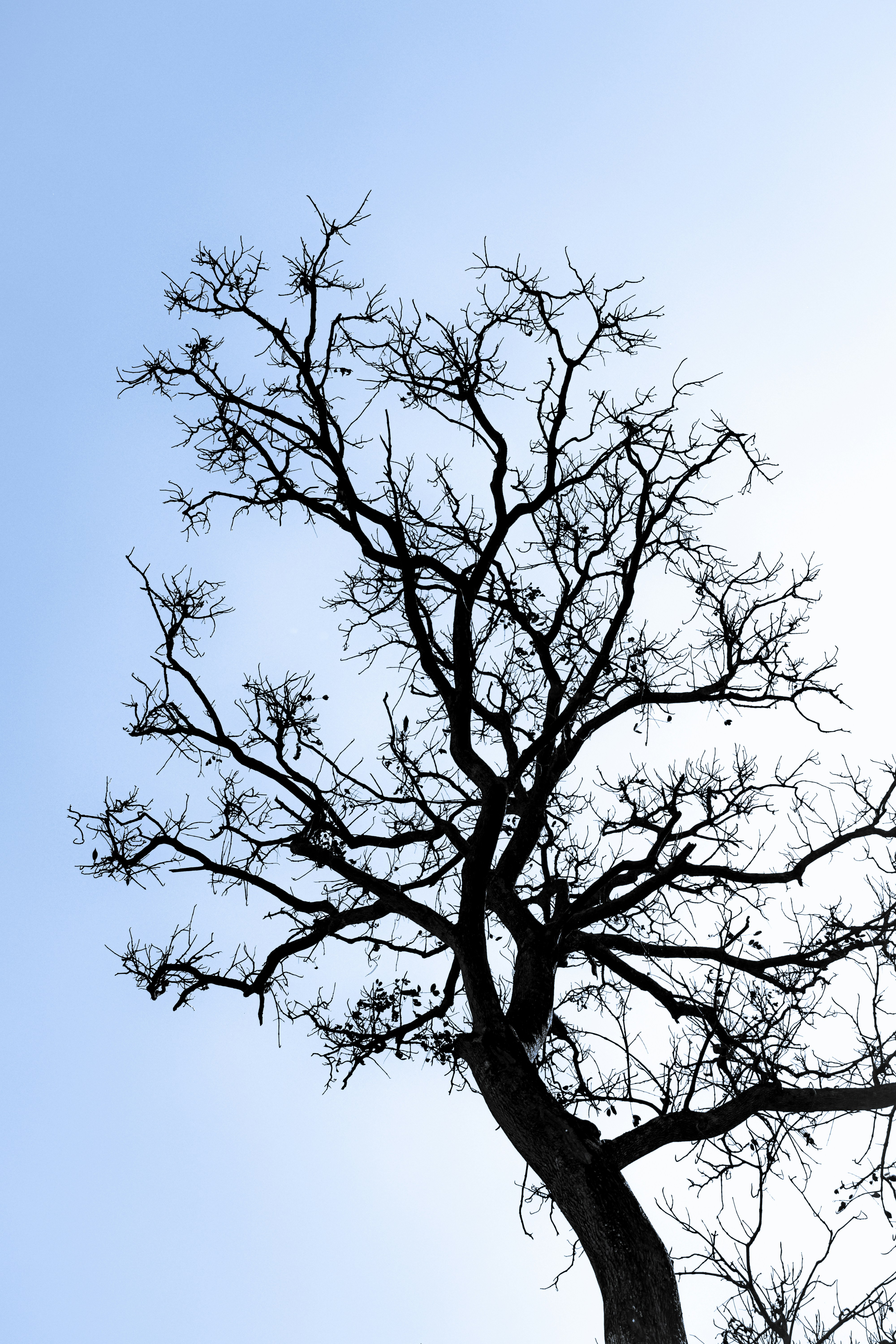 Photo by sameer_srivastava