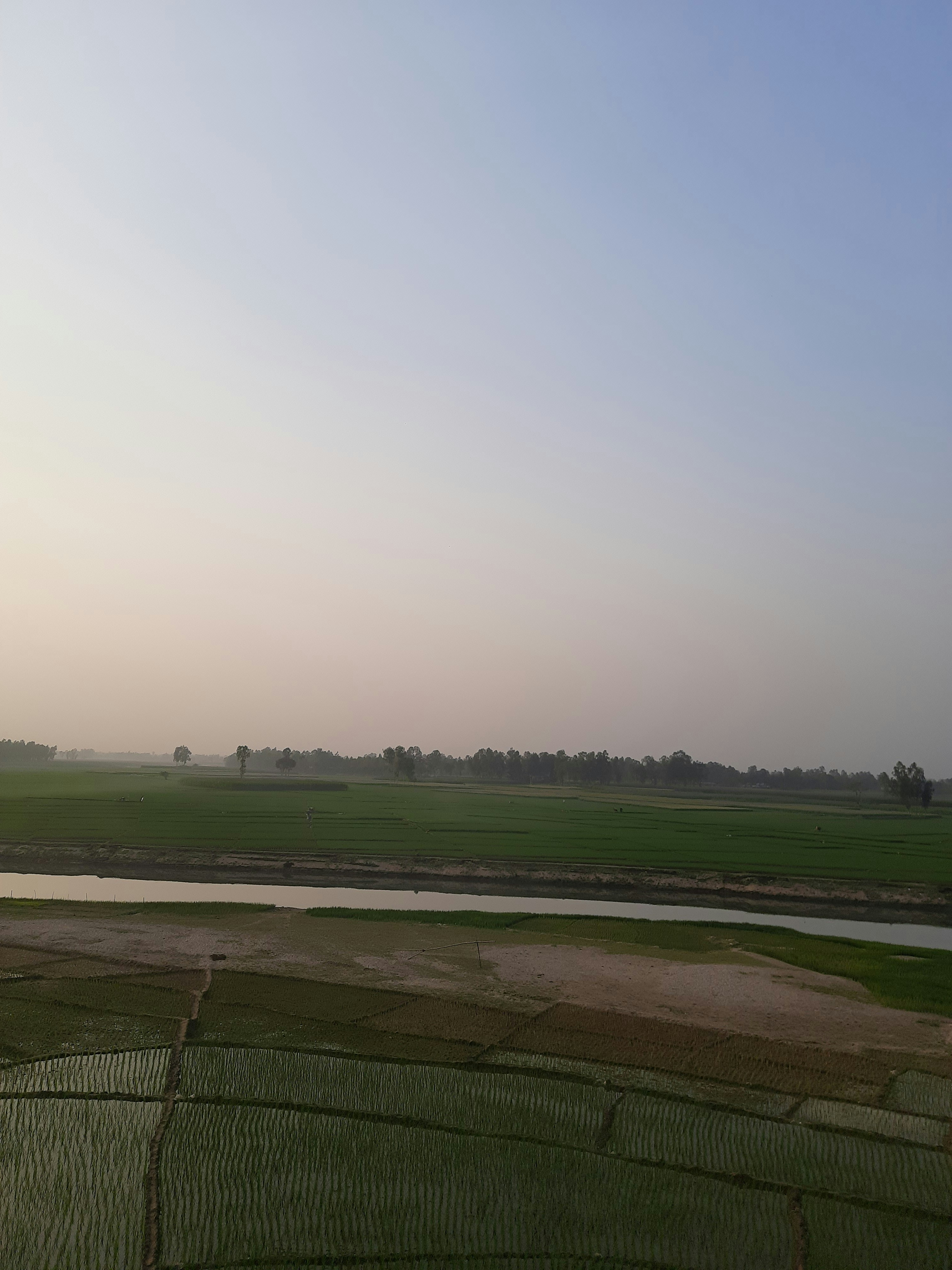 Photo by sujatmahmud01