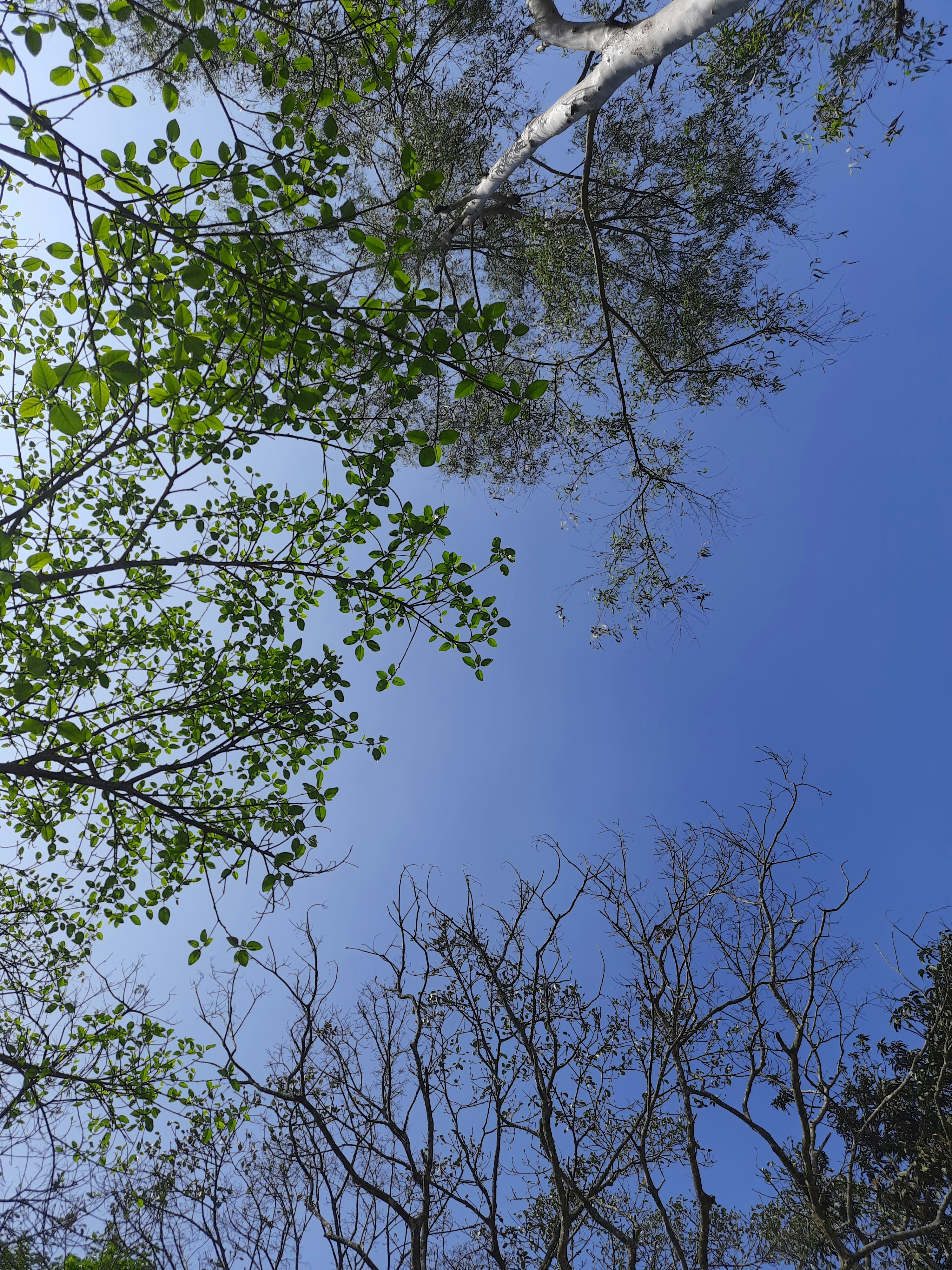 Photo by sujatmahmud01