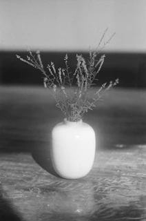 A serene studio shot capturing the gentle curve of a handcrafted pearl-white ceramic vase, embodying refined simplicity.