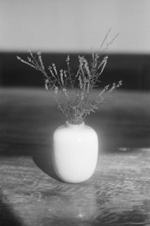 A monochromatic image featuring a simple white vase filled with delicate, wispy branches. The vase is placed on a textured surface, and the lighting creates soft shadows highlighting the elegant simplicity of the composition.