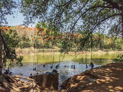 A calm river with people swimming near rocks and forested banks