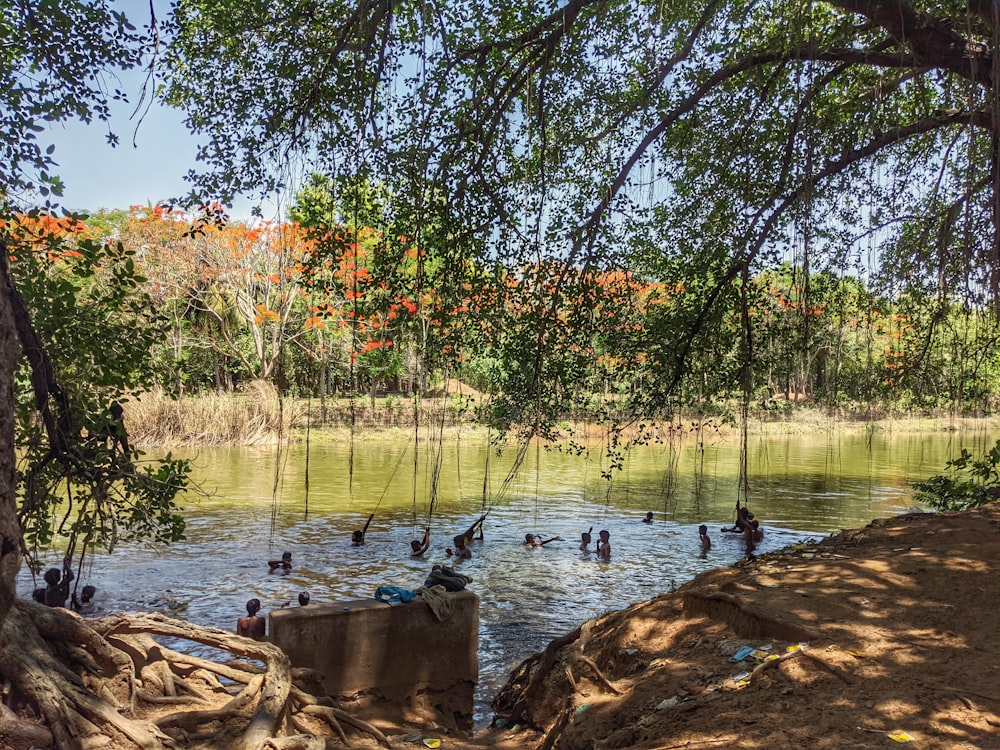 a group of people swimming in a lake surrounded by trees