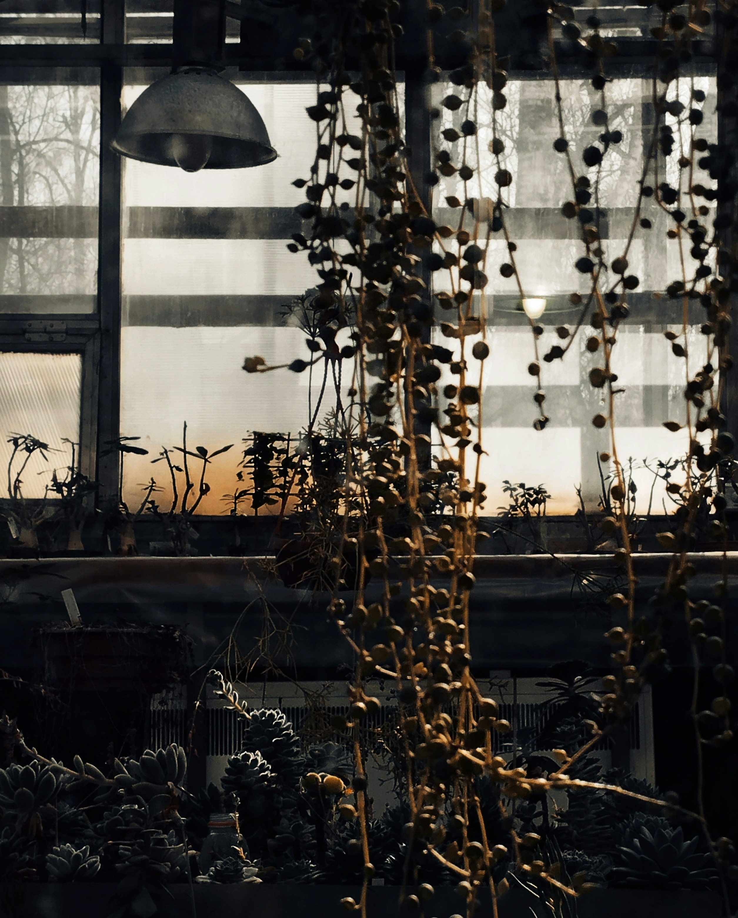 Photo by anamnesis33