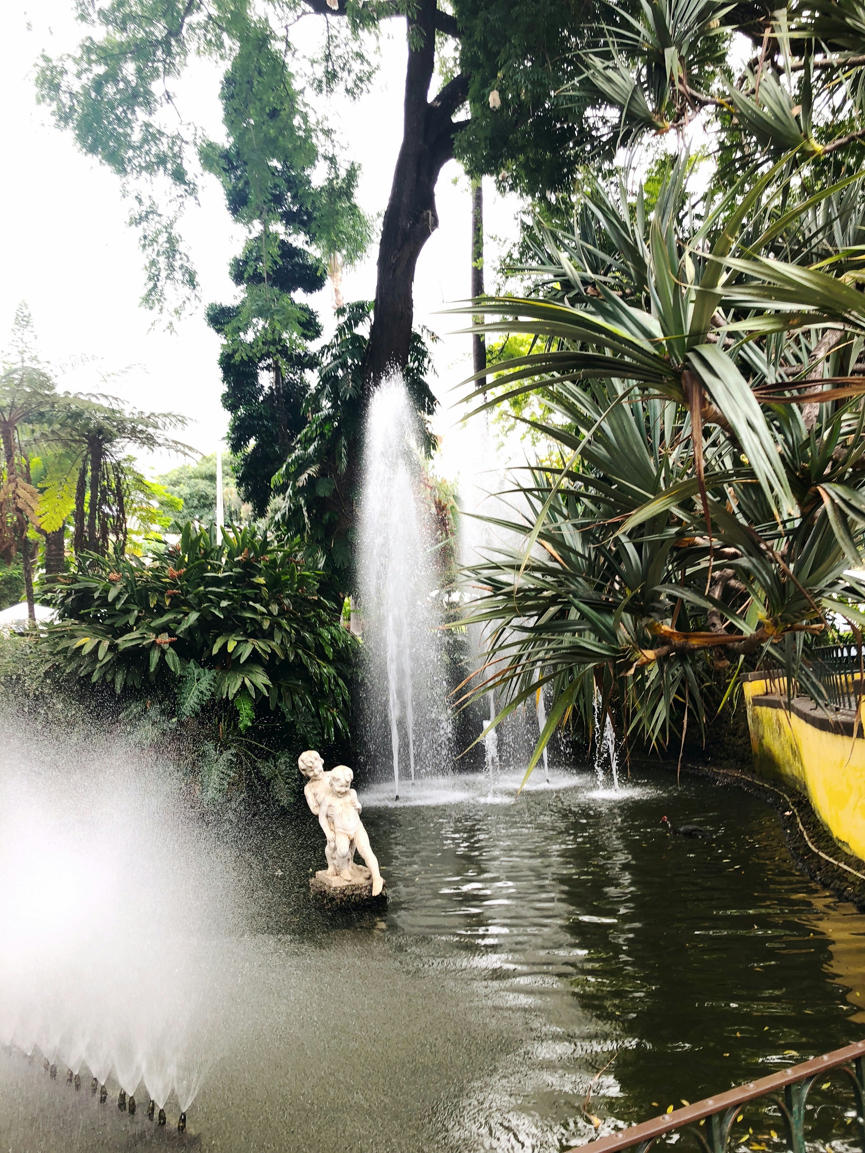 Photo by levihoonings99