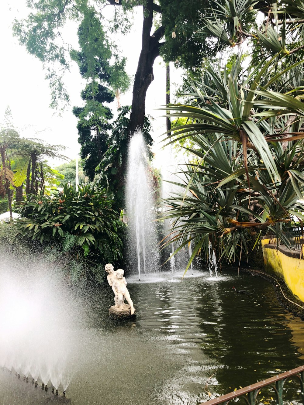 a fountain spewing water into a pond surrounded by trees