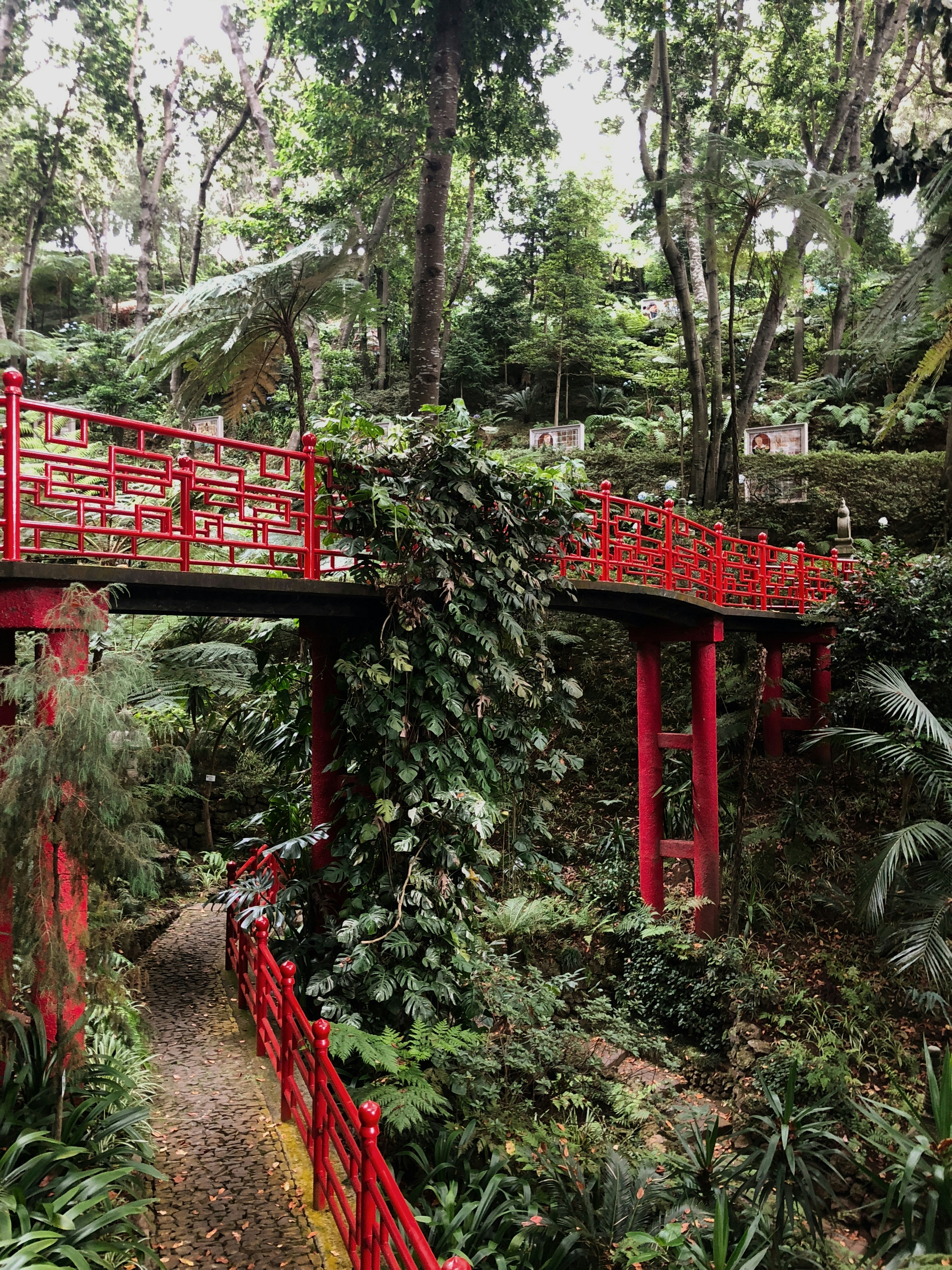 Photo by levihoonings99