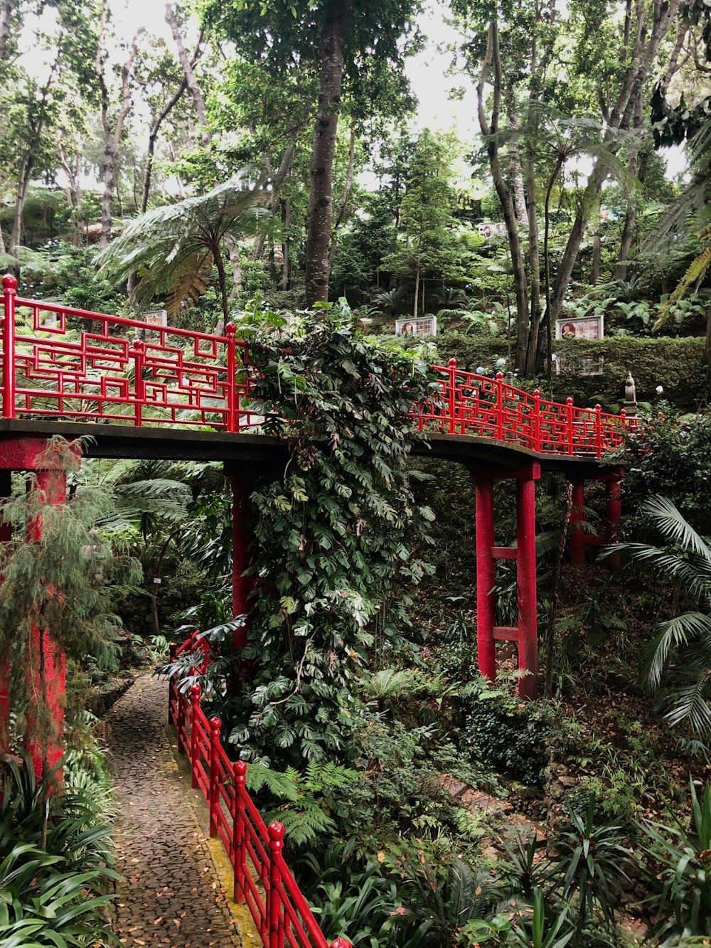 a red bridge over a lush green forest