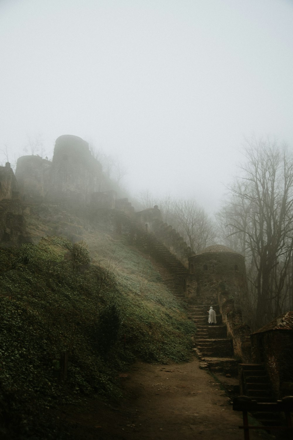 a person walking up a hill on a foggy day