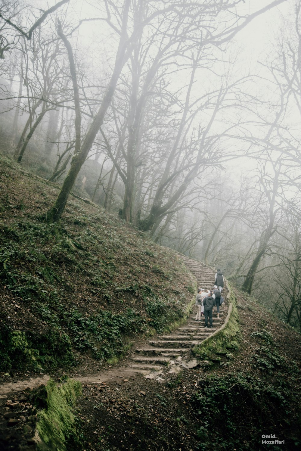 two people riding horses down a trail in the woods