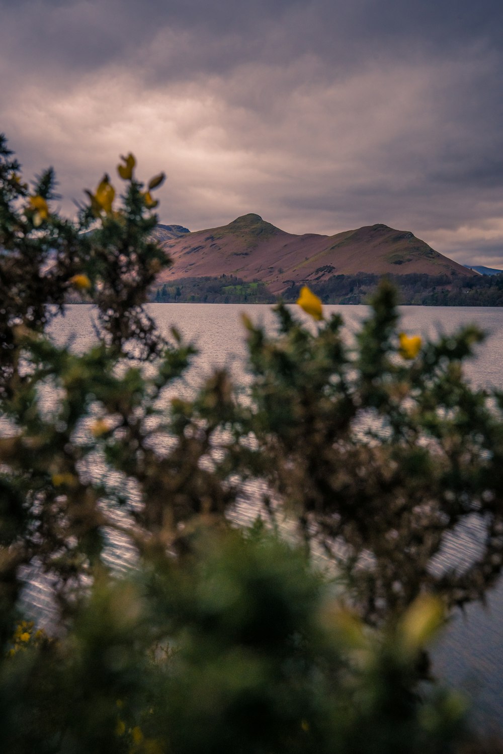 a view of a body of water with mountains in the background