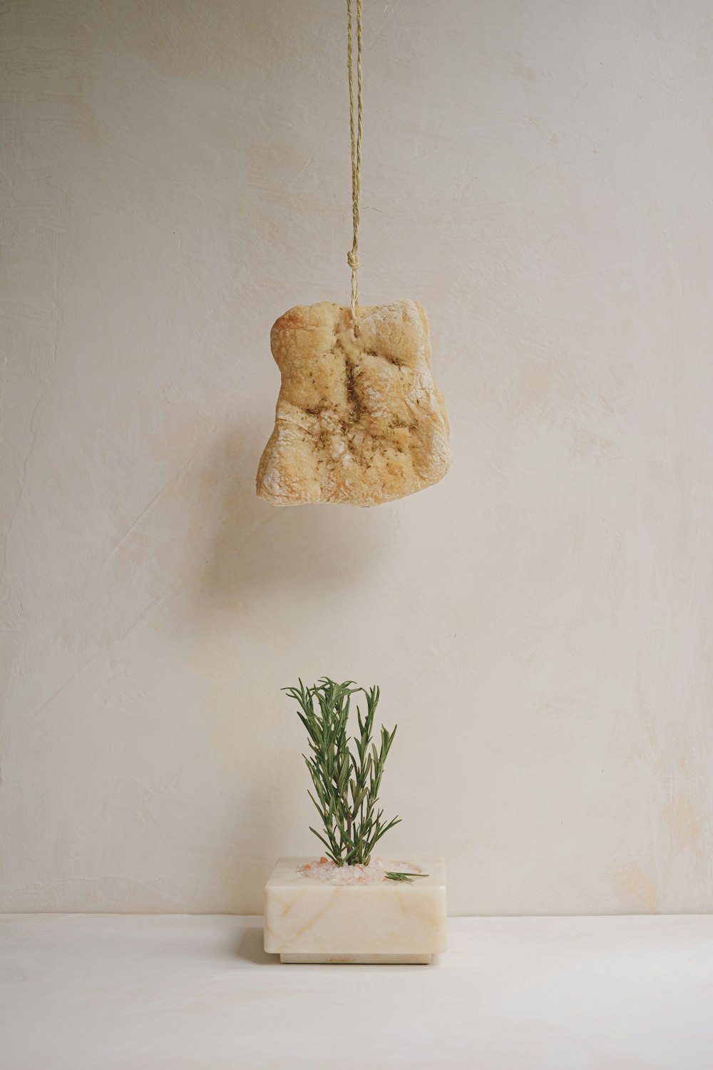 a piece of bread hanging from a rope next to a plant