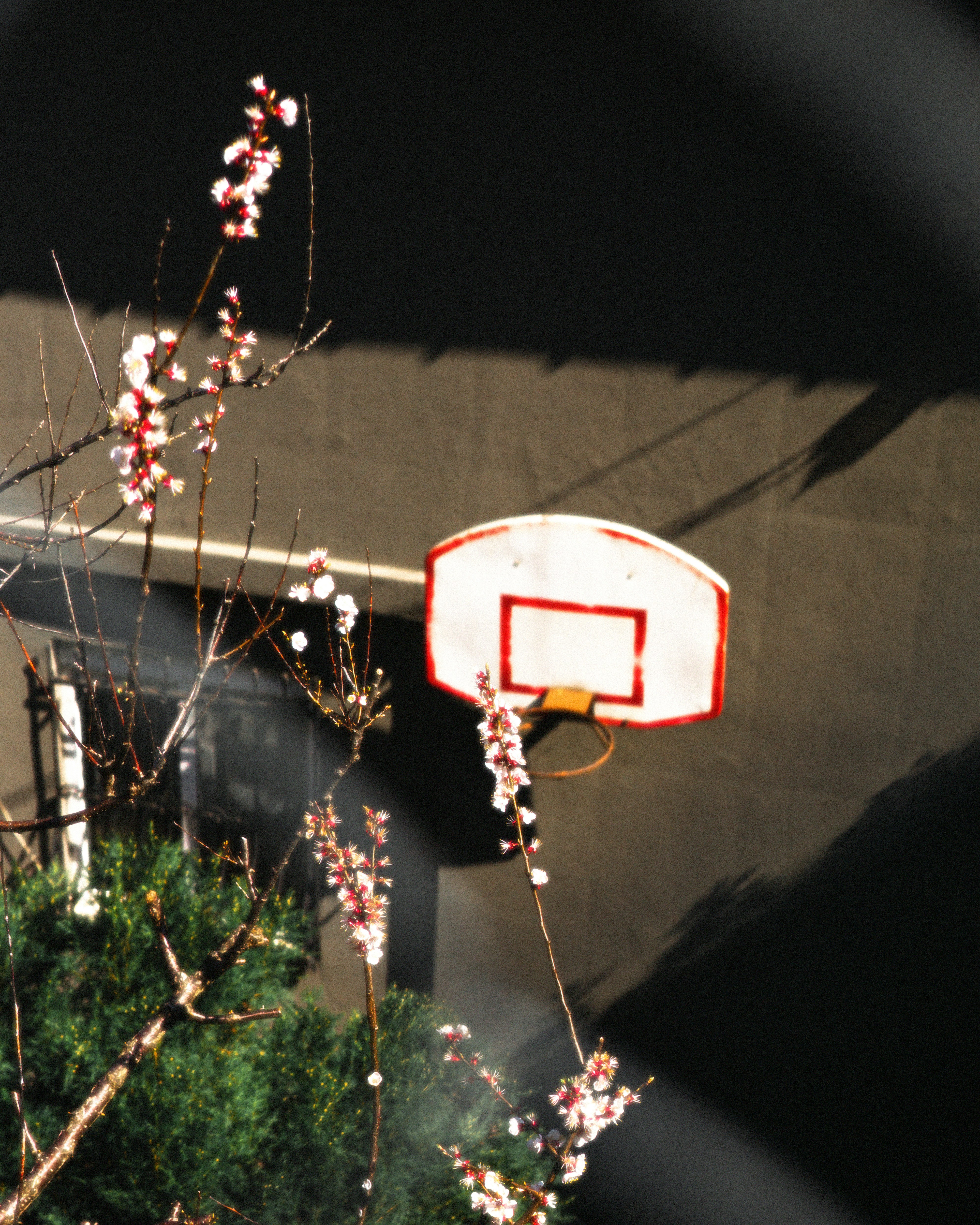 a view of a basketball hoop through a fence