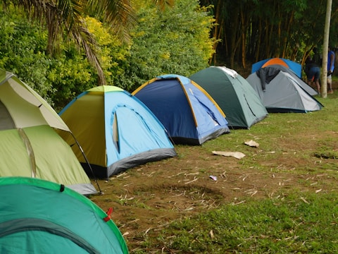 A row of colorful camping tents is set up on a grassy field next to a lush green forest. The tents vary in shades including green, blue, and gray. The area seems organized, and the ground is scattered with some dry leaves and twigs. It is daytime, and the overall environment appears calm and inviting for outdoor activities.