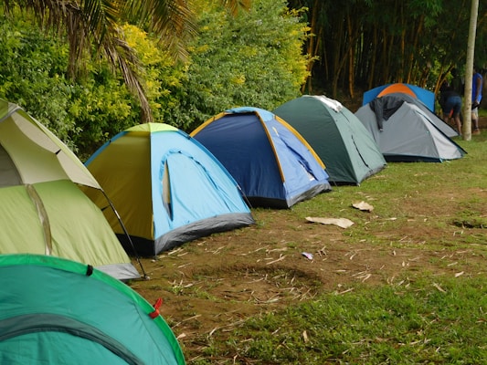 A row of colorful camping tents is set up on a grassy field next to a lush green forest. The tents vary in shades including green, blue, and gray. The area seems organized, and the ground is scattered with some dry leaves and twigs. It is daytime, and the overall environment appears calm and inviting for outdoor activities.