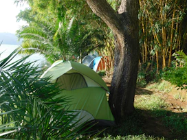 A spacious tent set up in a shaded, green camping area near the sea.