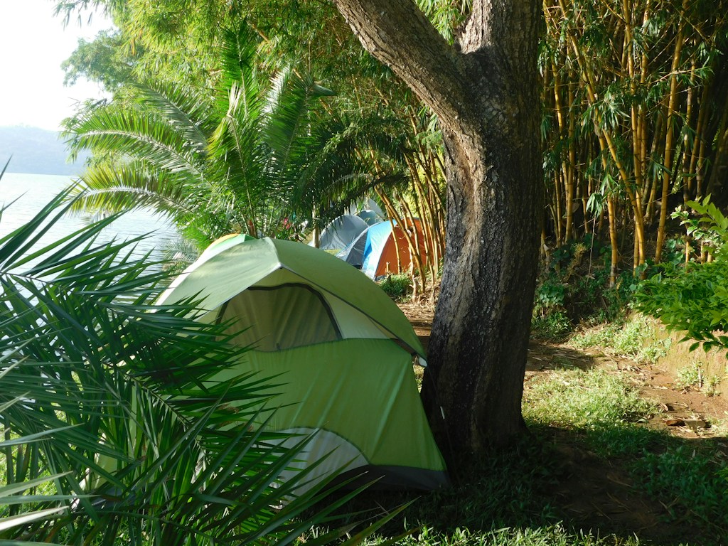 Stretch Tarps