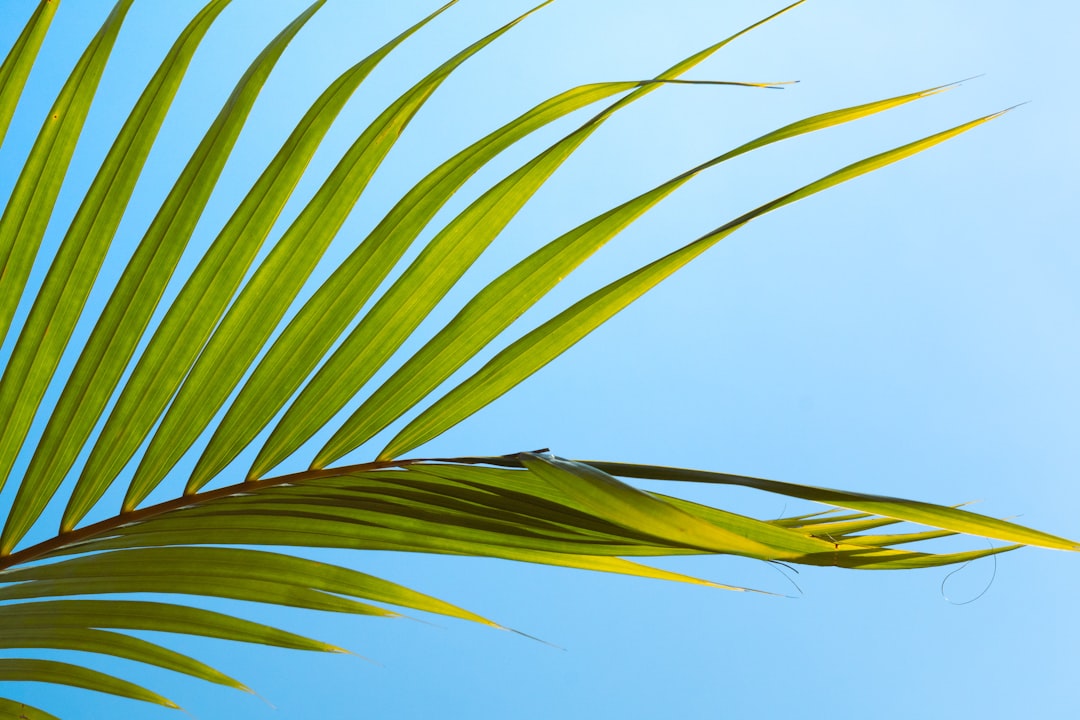 Go Green and Make New Friends: Eco-Conscious Group Travel Trends fo… — Go Green and Make New Friends