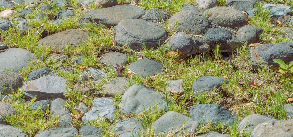 a bunch of rocks that are in the grass