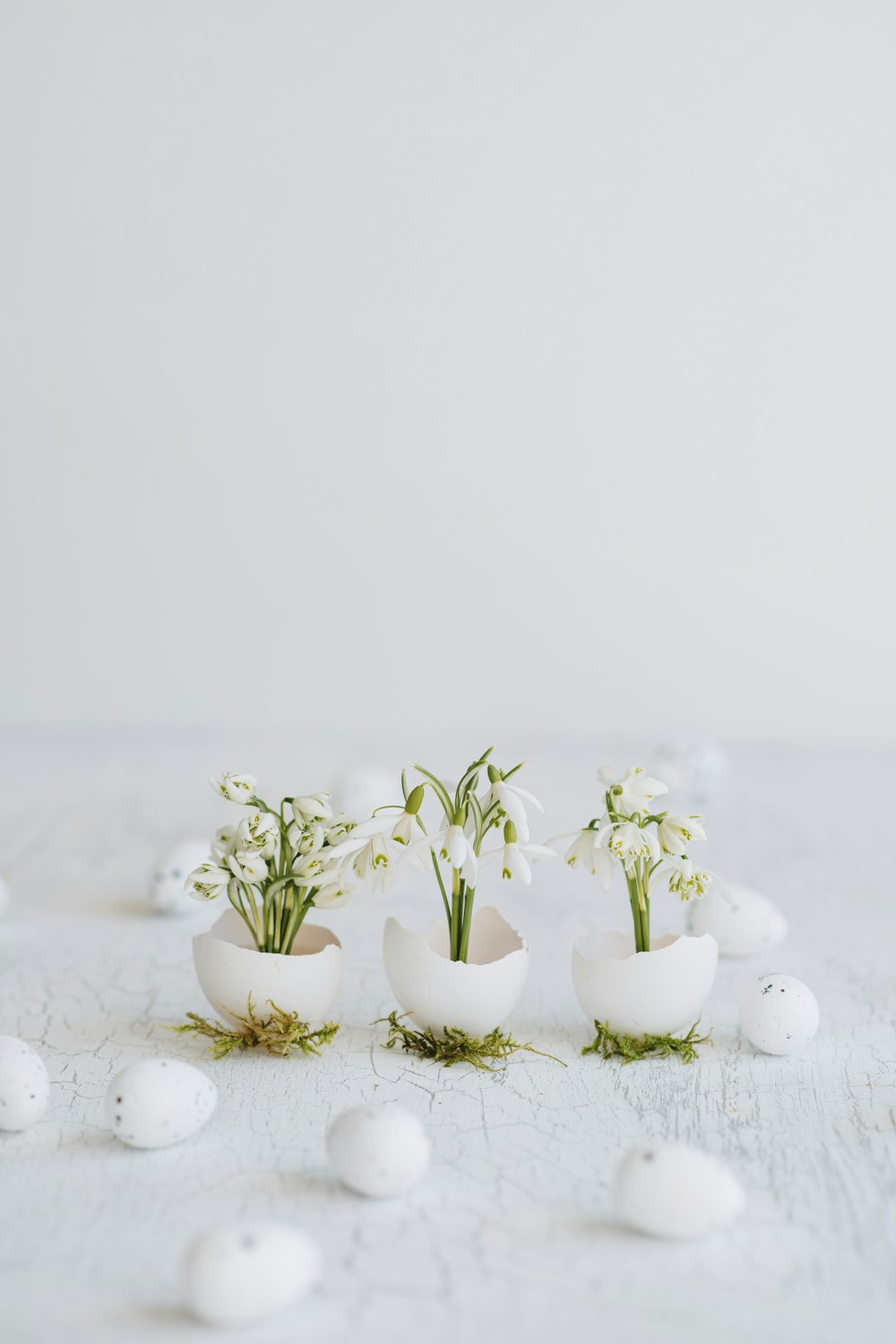 a white table topped with eggs and flowers