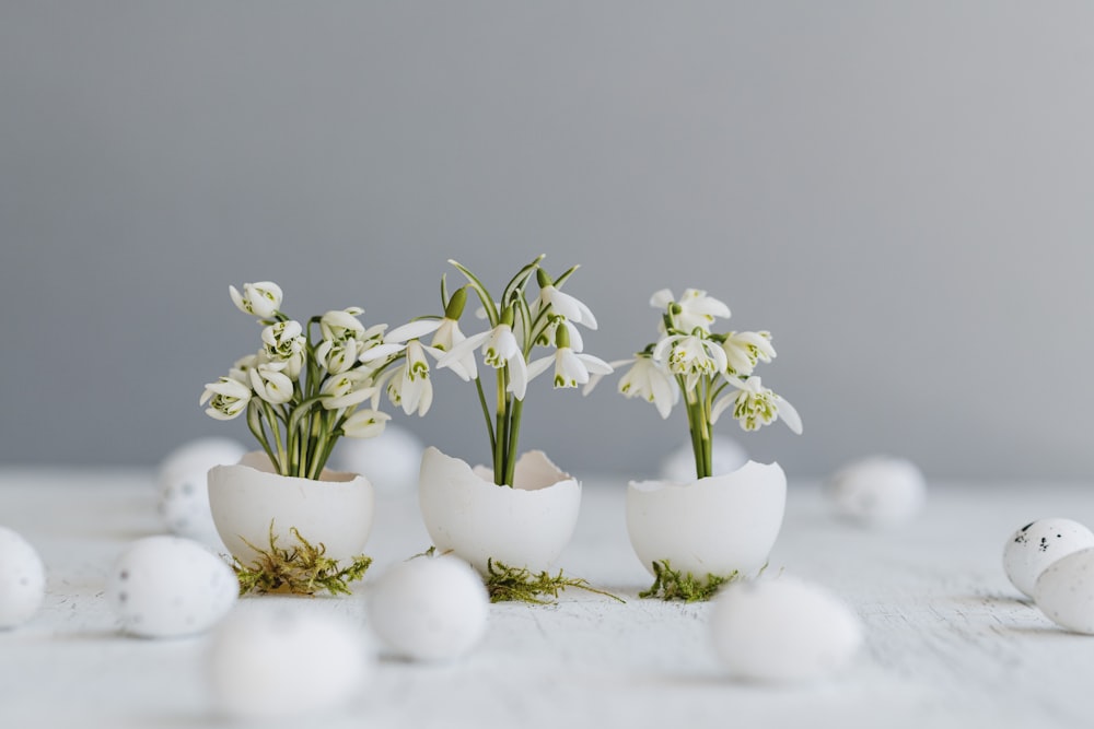 a group of eggs with flowers in them