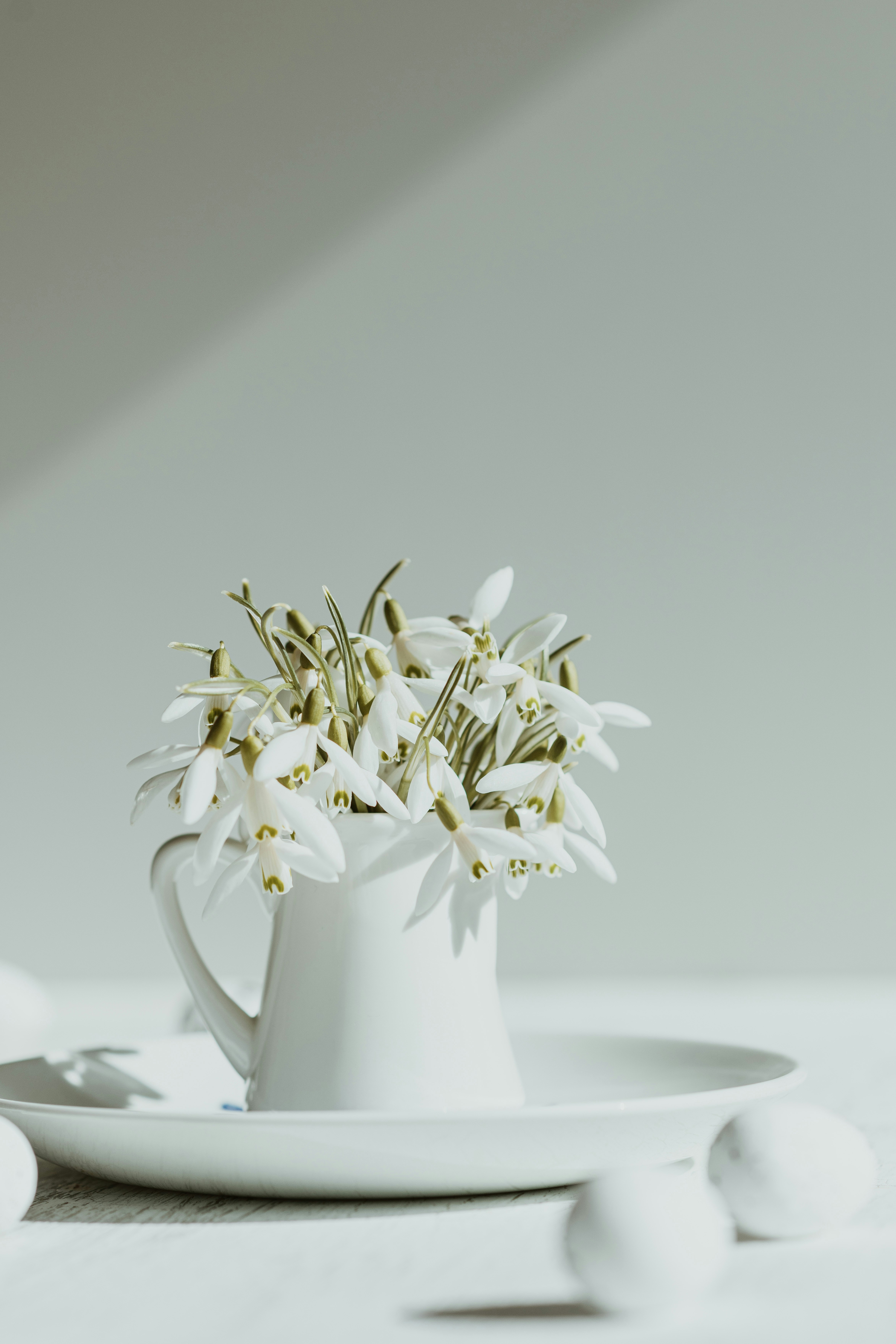 Photo by anitaaustvika