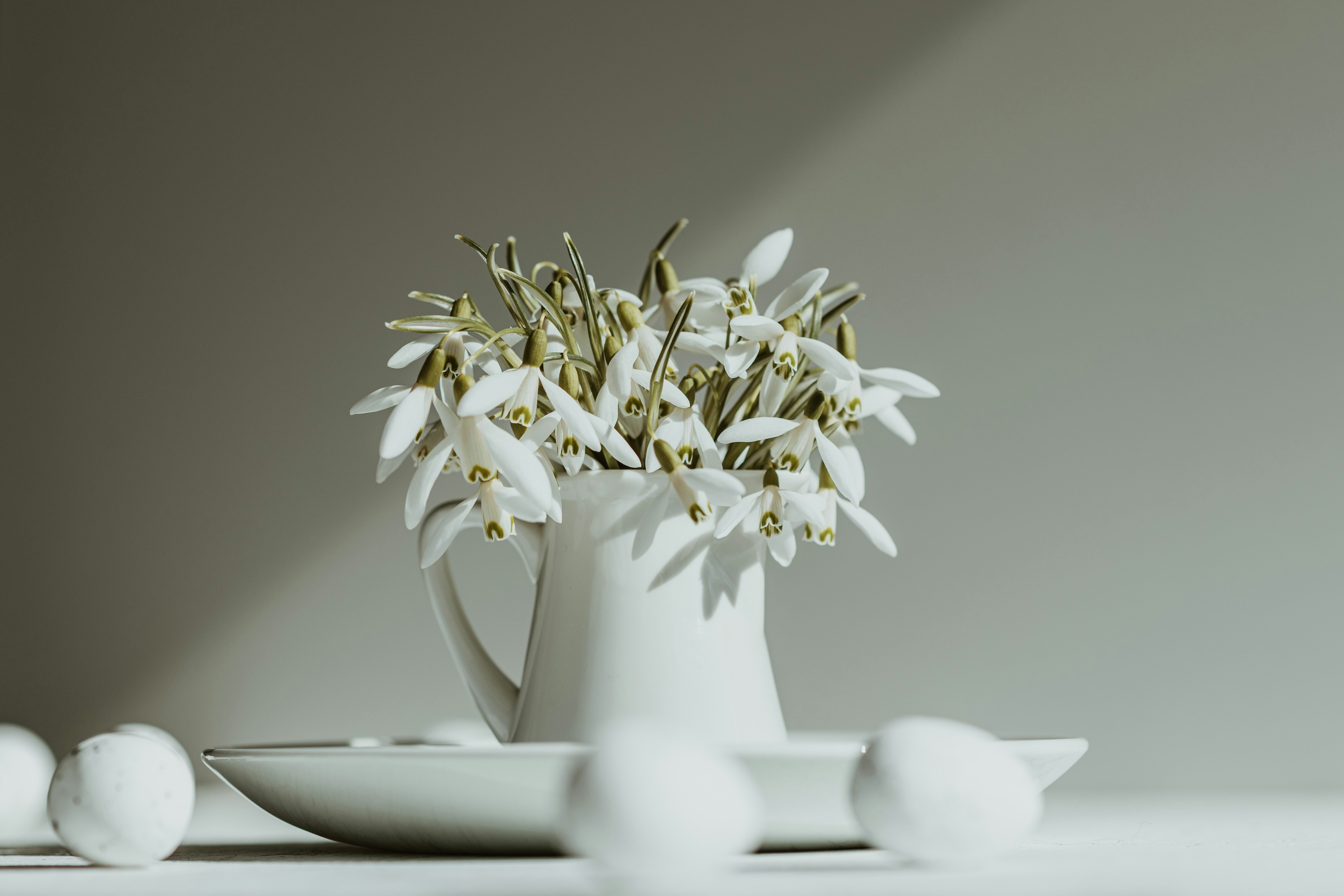 Photo by anitaaustvika