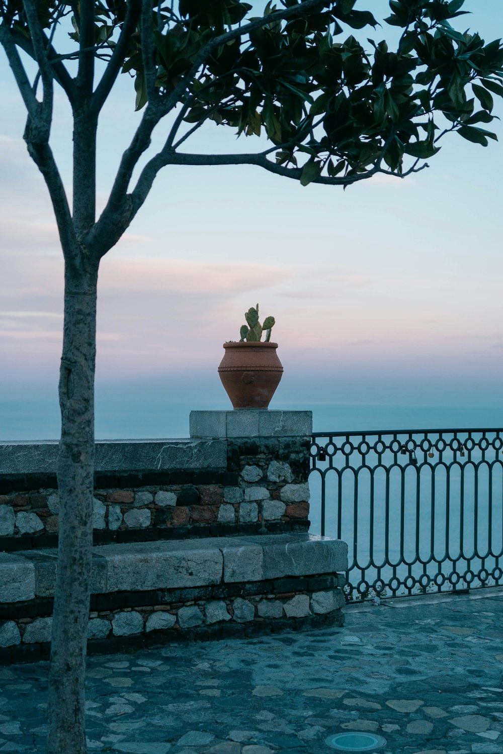 a potted plant sitting on top of a stone wall