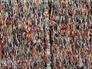 A vibrant tapestry of colorful ribbons densely attached to a wall. The ribbons vary in color and length, creating a textured and lively visual effect. Some ribbons have text printed on them, contributing to the intricate and energetic pattern.