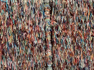 A vibrant tapestry of colorful ribbons densely attached to a wall. The ribbons vary in color and length, creating a textured and lively visual effect. Some ribbons have text printed on them, contributing to the intricate and energetic pattern.