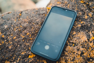 A smartphone with a black case is resting on a rough, textured rock surface speckled with bright orange lichen.