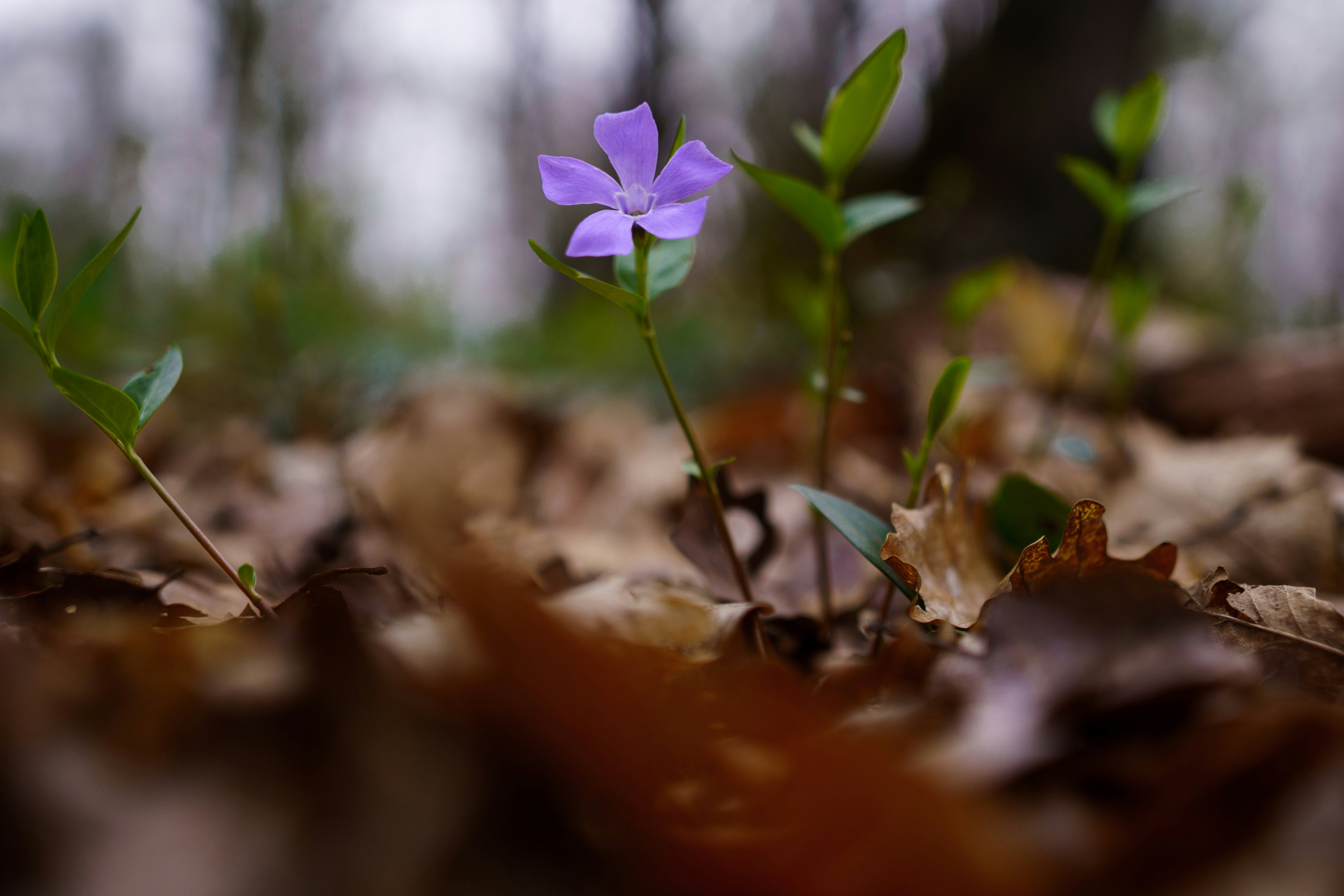 Photo by ciudyx