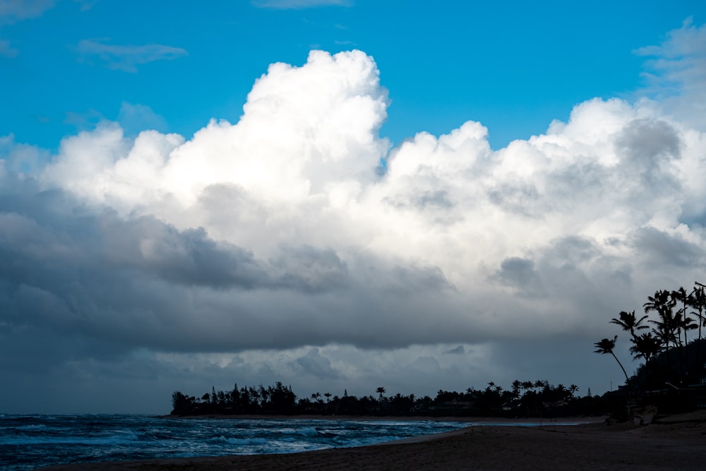 Una playa con palmeras y un cielo nublado