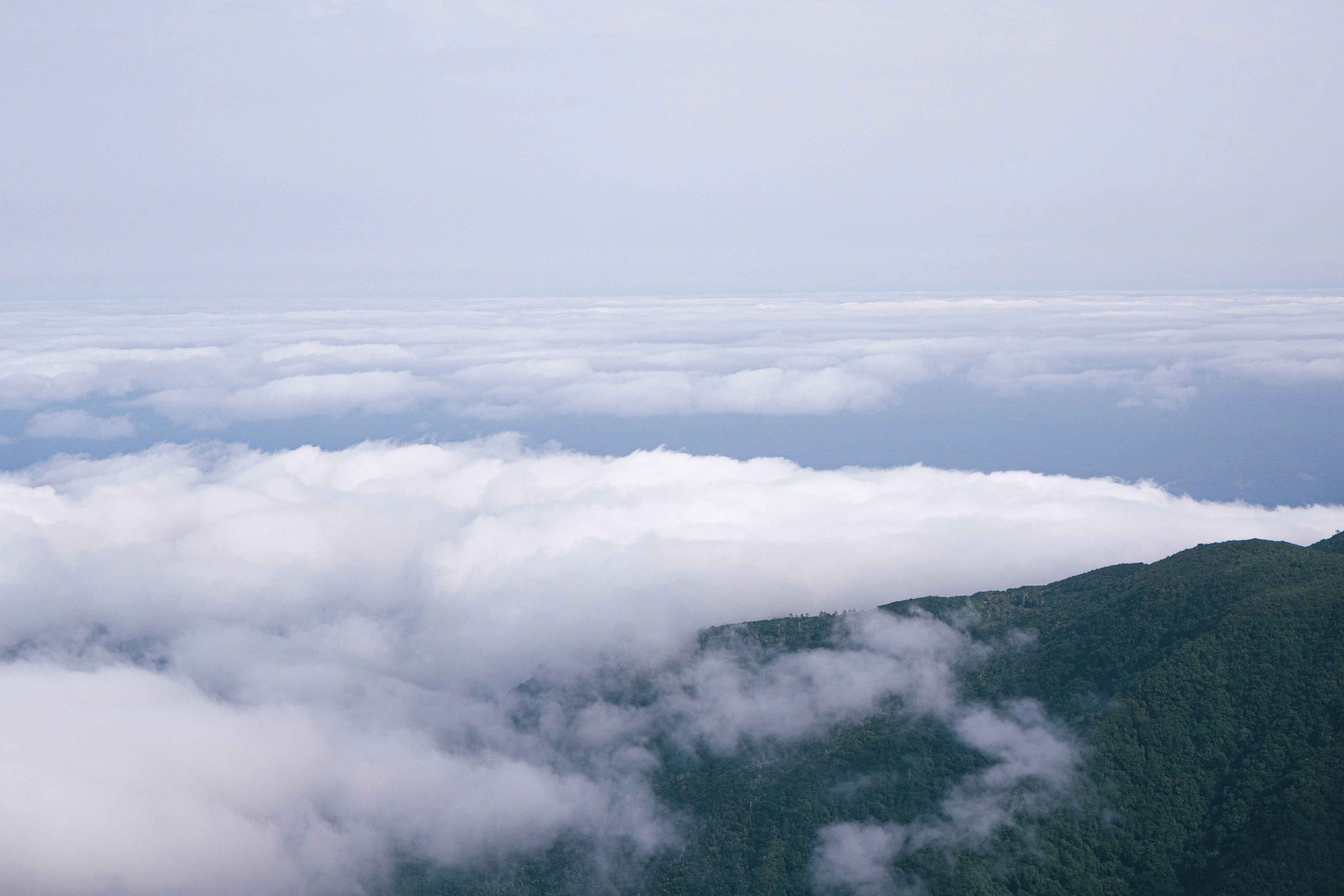 Photo by snapshot_journey